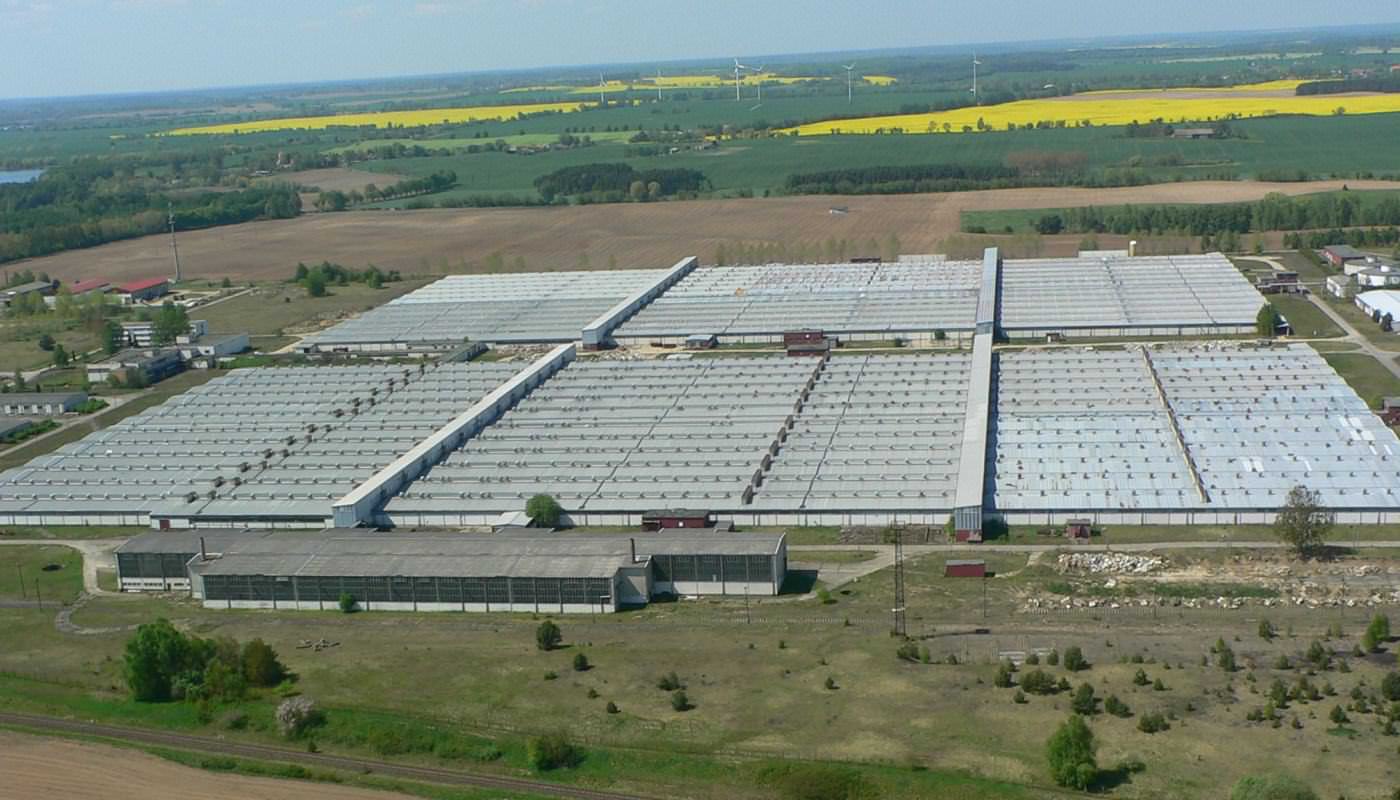 Schweinemastanlage Hassleben
