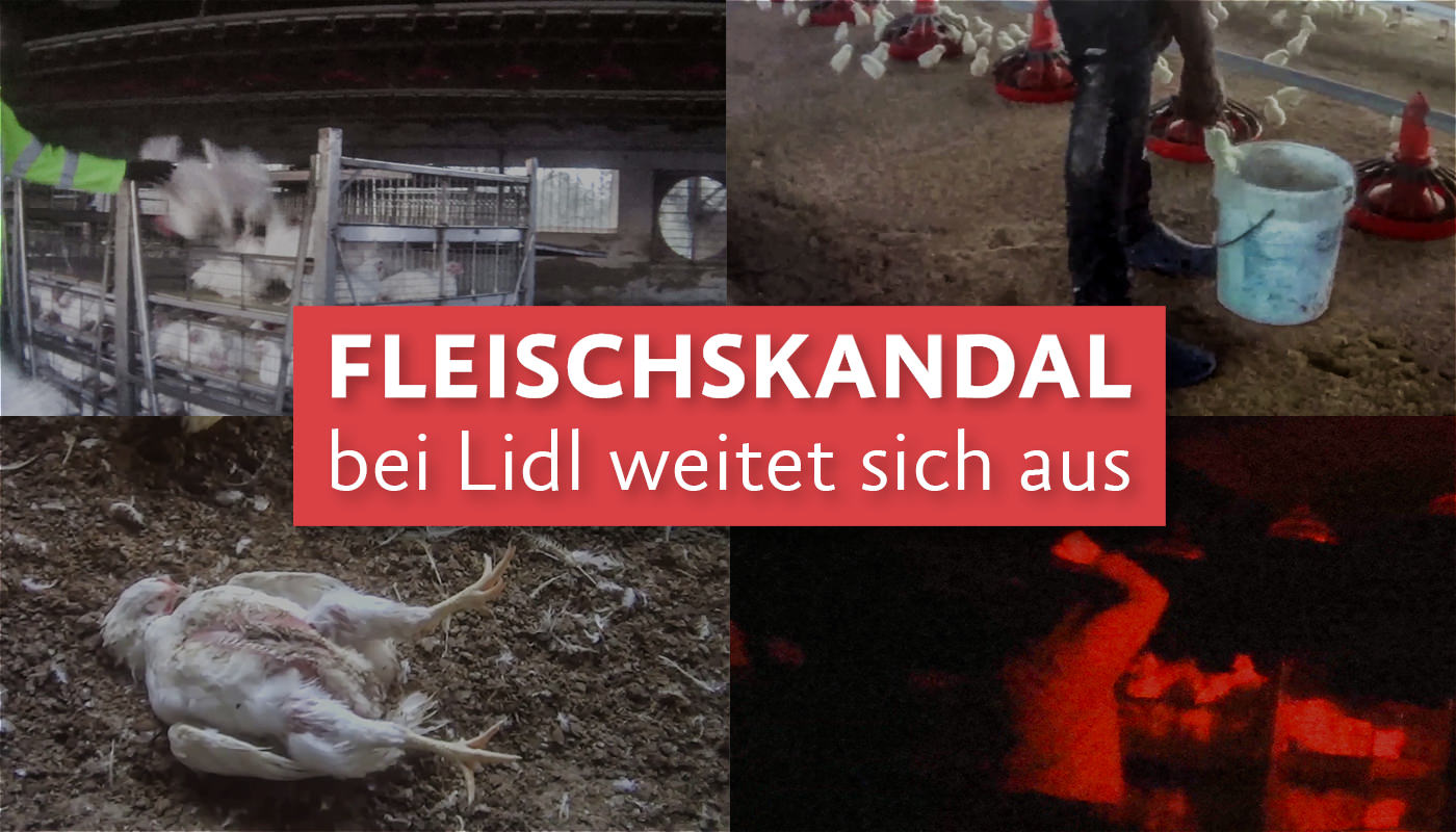 Collage aus Videobildern