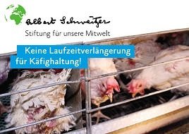 Demoschild