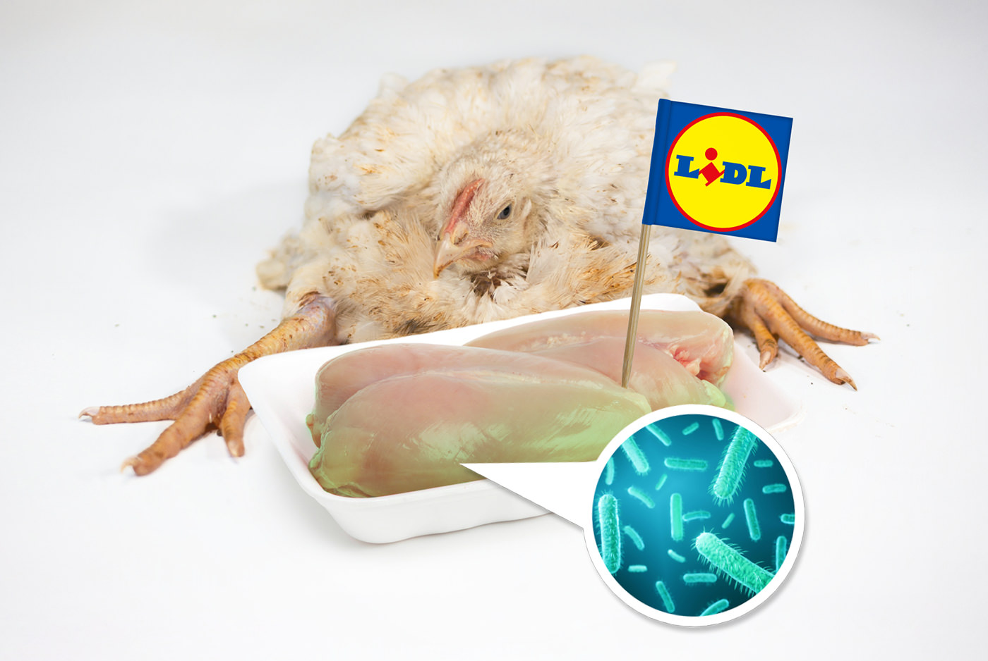 Krankes Masthuhn und Hühnerfleisch