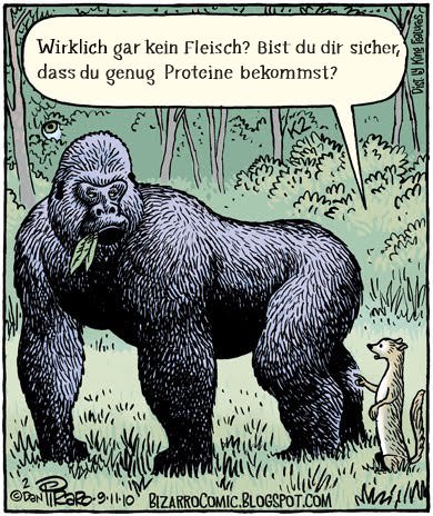 Comic Gorilla Proteine