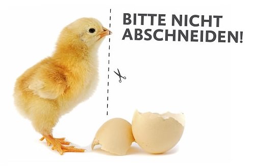 Schnabelkürzen - Kampagnenmotiv