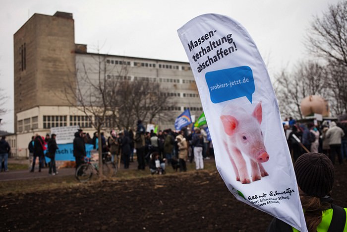 Demo vor Schweinehochhaus