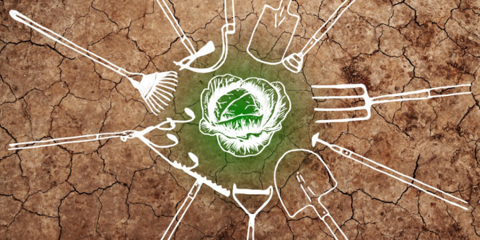 Tagungsband bio-vegane Landwirtschaft