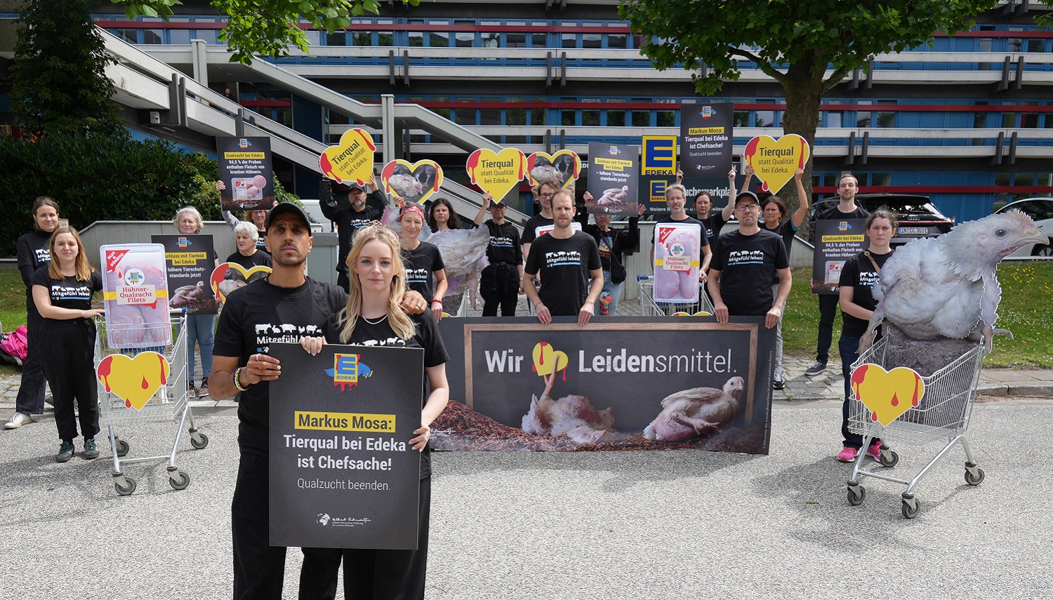 Aktive der Albert Schweitzer Stiftung für unsere Mitwelt und die Influencer:innen Juju & Fabi protestieren vor der Edeka-Zentrale in Hamburg.