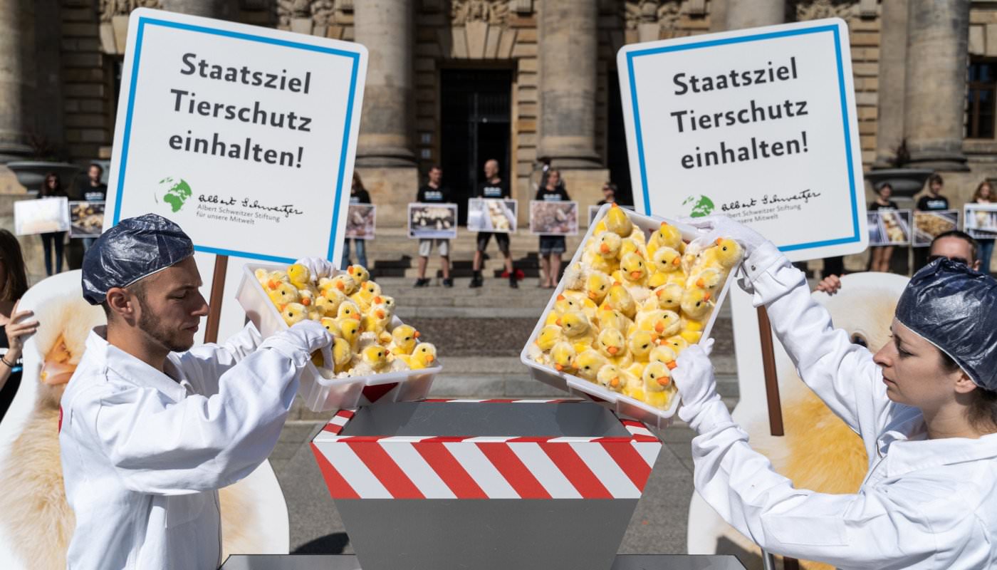 Aktion Bundesverwaltungsgericht