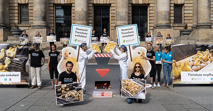 Demonstration vor Gerichtsgebäude