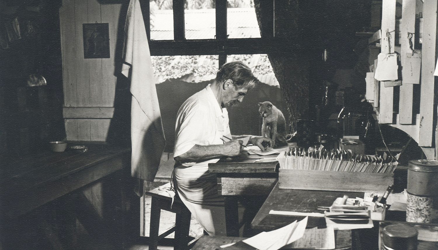 Albert Schweitzer am Schreibtisch mit Katze.